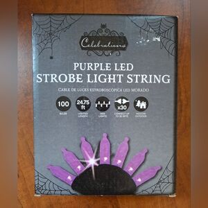 Celebrations Purple Mini LED String Lights 100ct 11-14054A